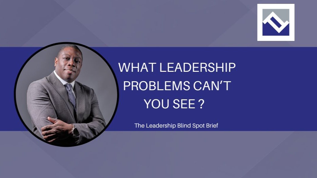 Blind Spot Brief cover: The Leadership Problems You Can’t See